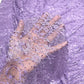 Premium Chantilly Lace Fabric – Elegant Floral Embroidered Lace