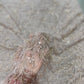 Luxury Net Embroidery Fabric – Silver Champagne Beaded Bridal Net